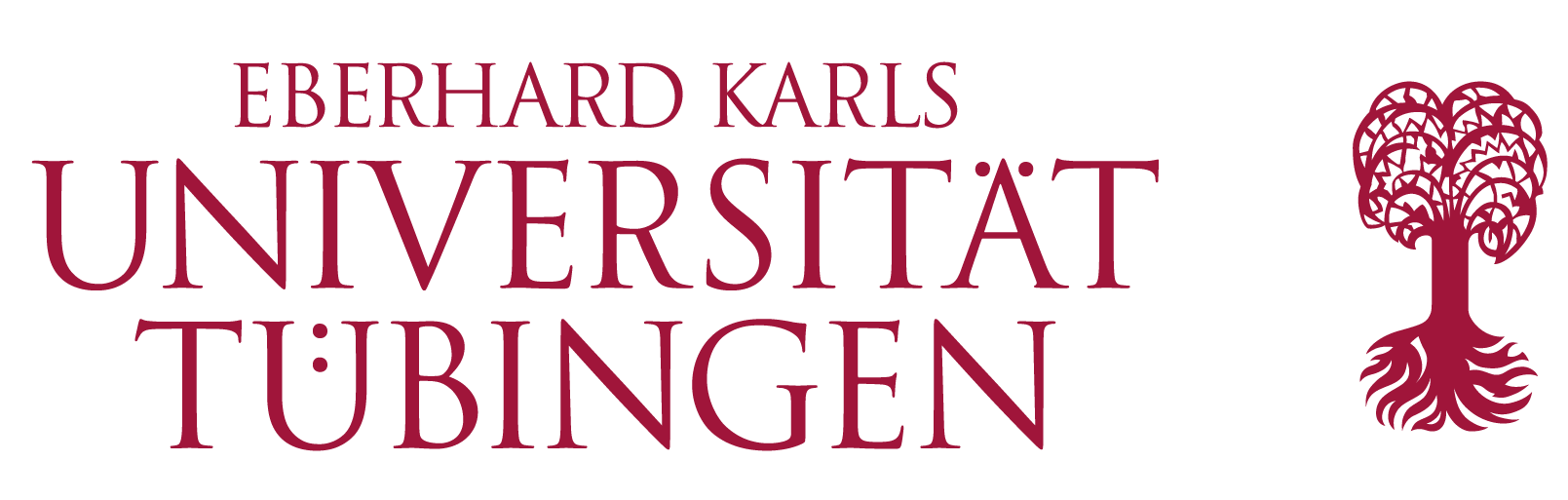 The-Eberhard-Karls-University-of-Tubingen